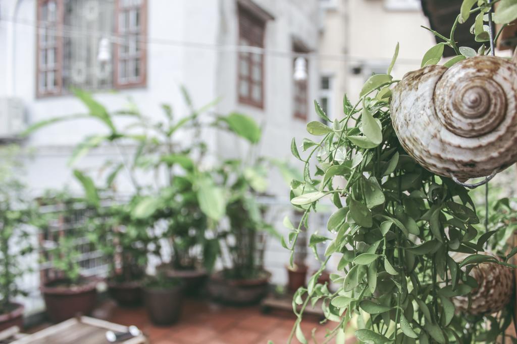 Villa Ham Long Hidden Gem Hanoi Esterno foto